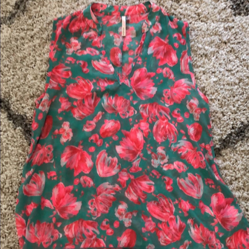 Sleeveless sheer Top